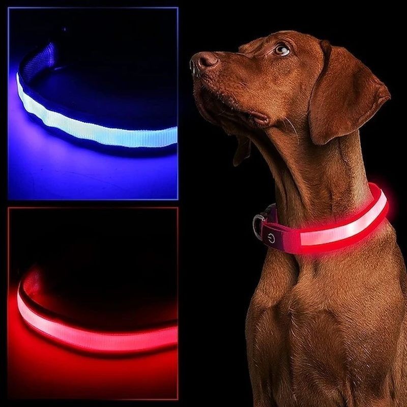 LED világító kutyanyakörv, S méret, 3 világítási mód