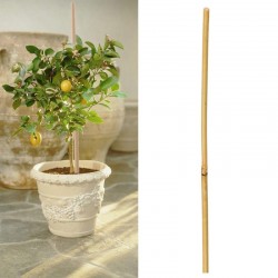 Bambusz növénytartó,...