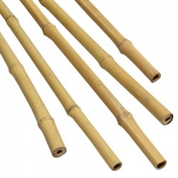 Bambusz tartó növények és zöldségek számára, átmérő 14-16 mm, magasság 120 cm
