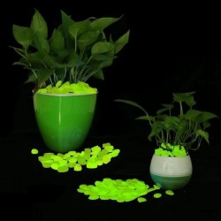 Procart Zöldesen világító, áttetsző, foszforeszkáló kavicsok, dekoratív, 3-5 cm-esek