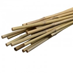 Procart Bambusz növénytartó, átmérője 14 mm, hossza 180 cm