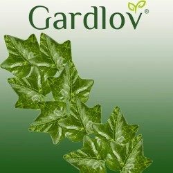 Gardlov Dekoratív műborostyán füzér, 12 szál, hossza 25,2 m, zöld