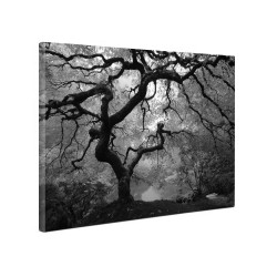 Tablou canvas fosforescent Artar alb-negru, 40x20 cm