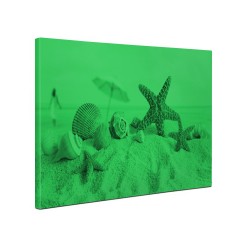 Foszforeszkáló vászonkép- Kagylók a tengerparton, 60x40 cm