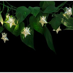 Polux Dekoratív napelemes csillag girland, 10 meleg fehér LED, 1,8 méter hosszú, IP44