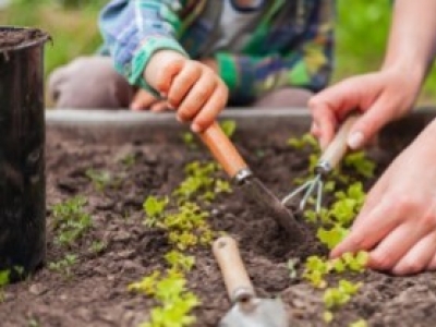 Mindent a kertészetről: Fedezze fel az előnyöket!